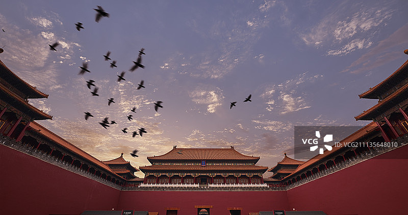 一群飞鸟下的紫禁城图片素材