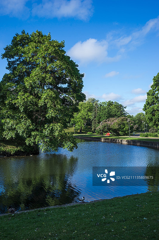 爱沙尼亚塔林风光图片素材