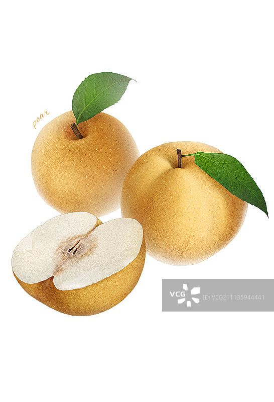 白色背景上的水果插画图片素材