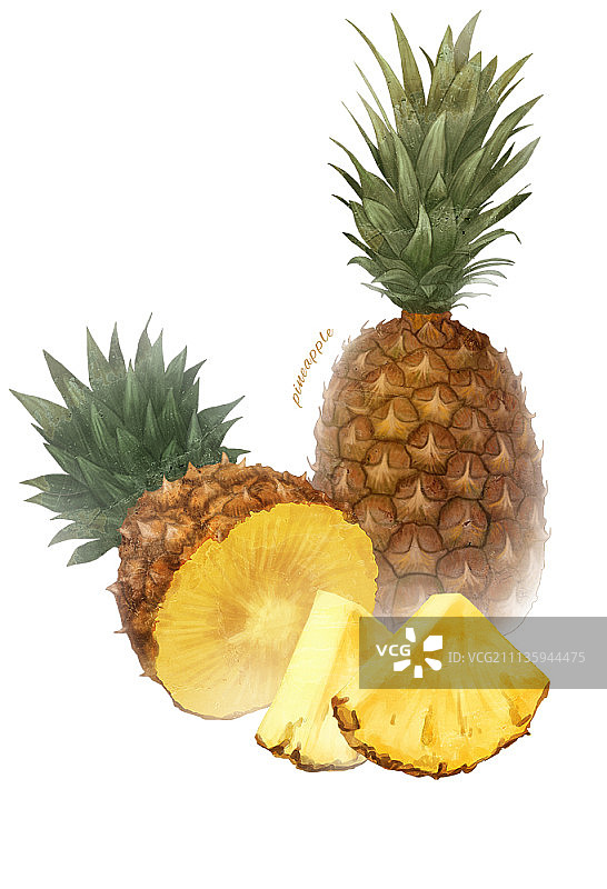 白色背景上的水果插画图片素材