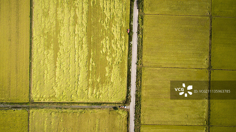 稻田和道路摄影图片素材