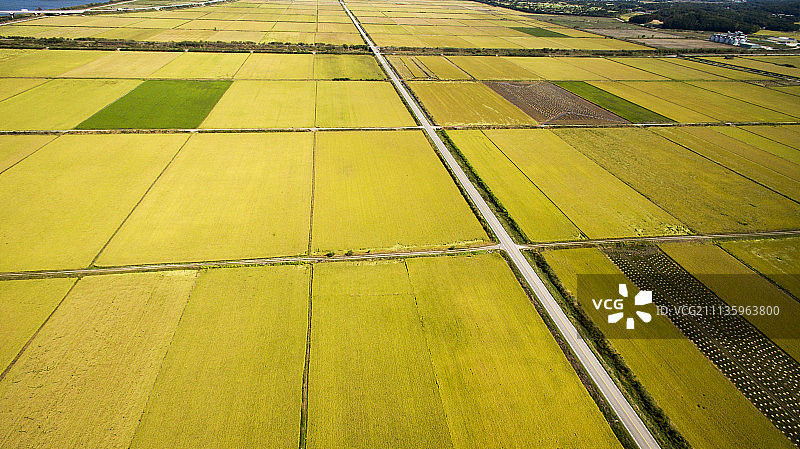 稻田和道路摄影图片素材