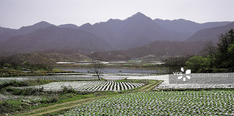 山脉，白天，绿色图片素材