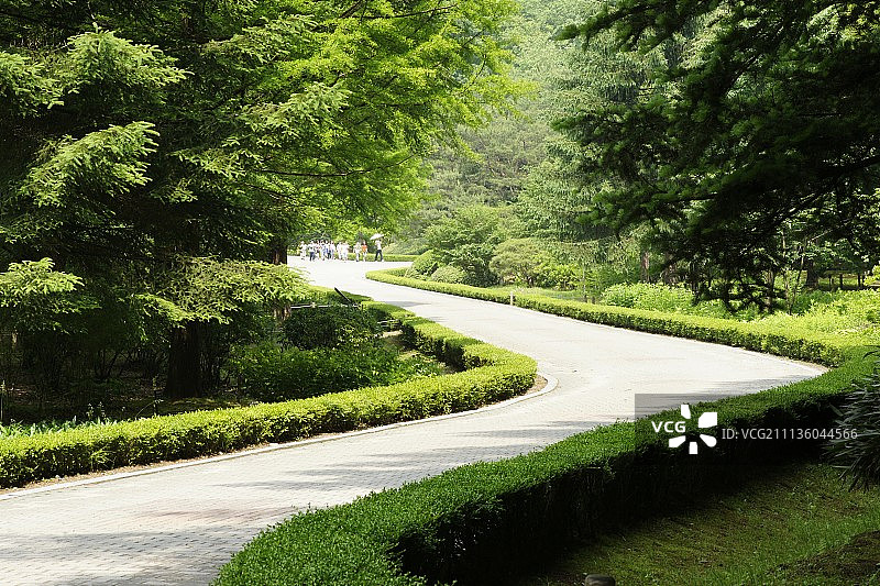 在户外,天图片素材
