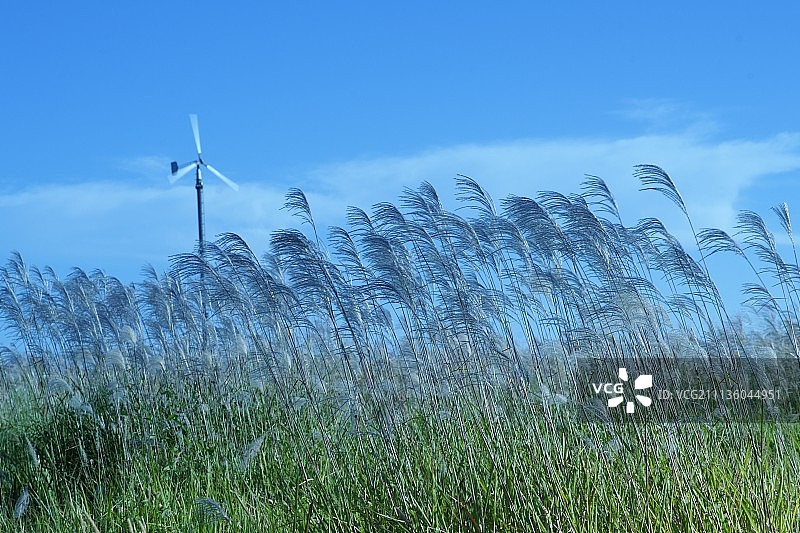 在户外,天图片素材