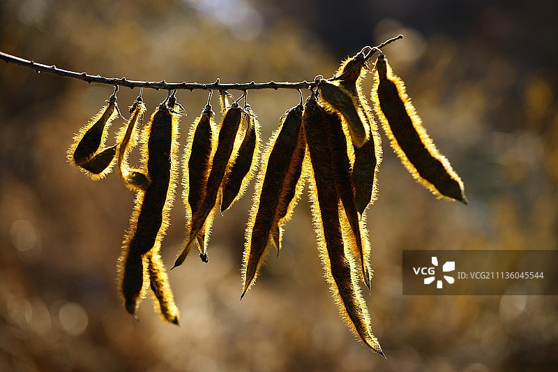 在户外,天图片素材