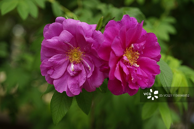 韩国户外风光图片素材