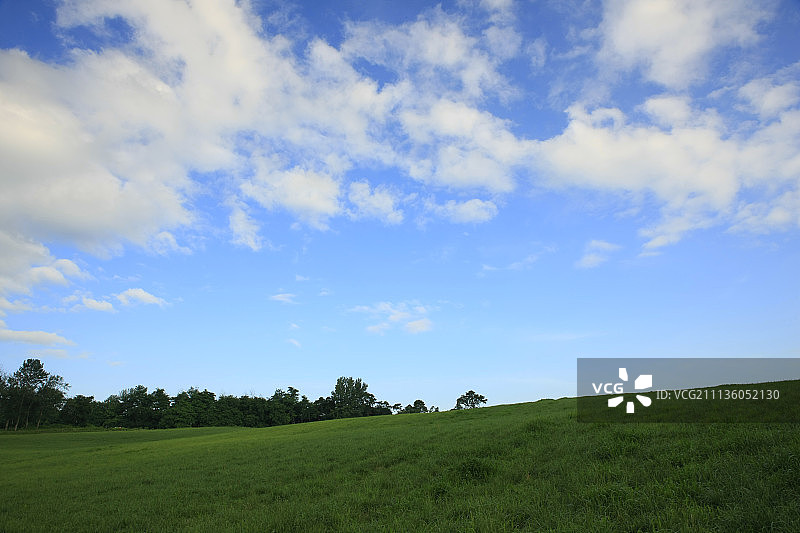 在户外,天图片素材
