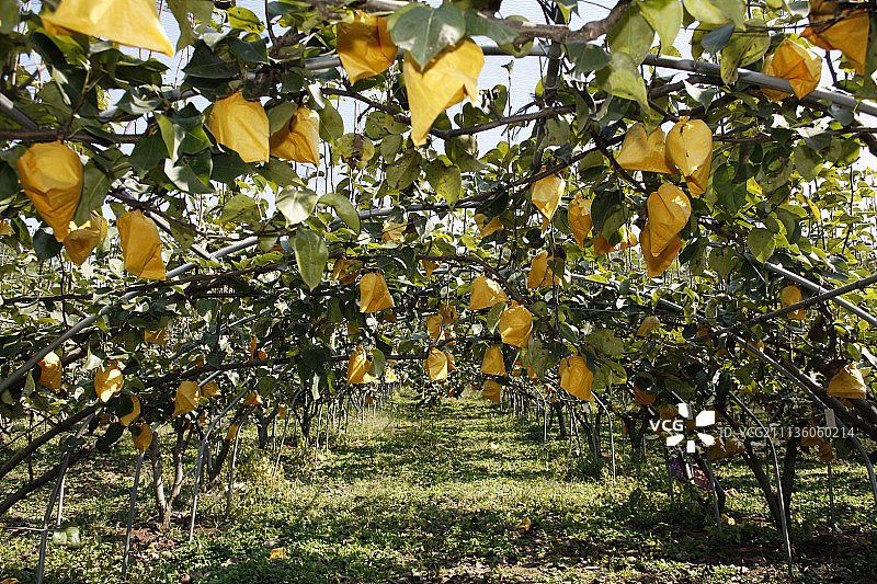 太白市风光图片素材