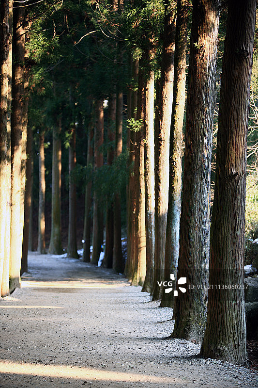 宝城郡风光图片素材