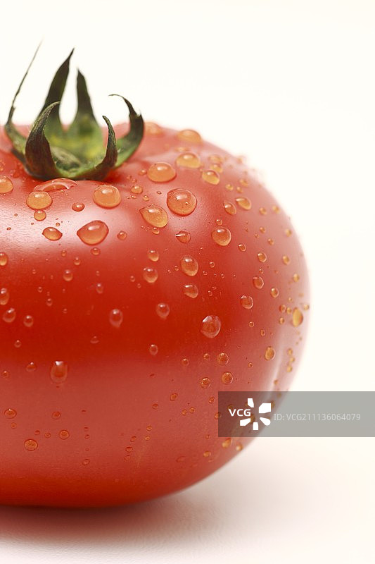 番茄图片素材