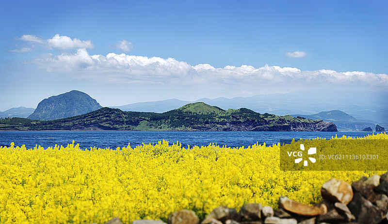 济州岛图片素材