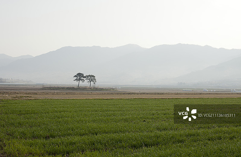 博里巴图片素材