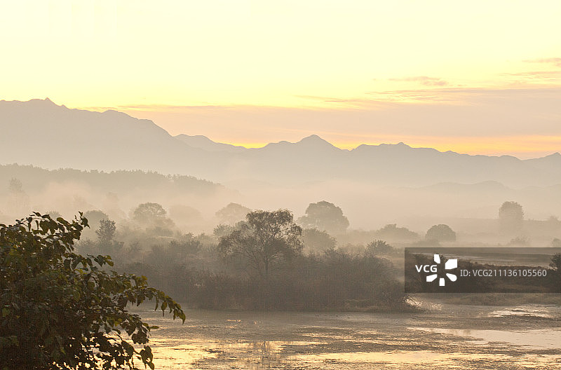 昌宁郡牛浦邑沼泽图片素材