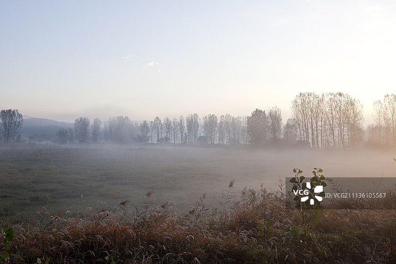 昌宁郡牛浦邑沼泽图片素材