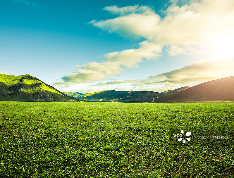 绿色的草地和天空图片素材