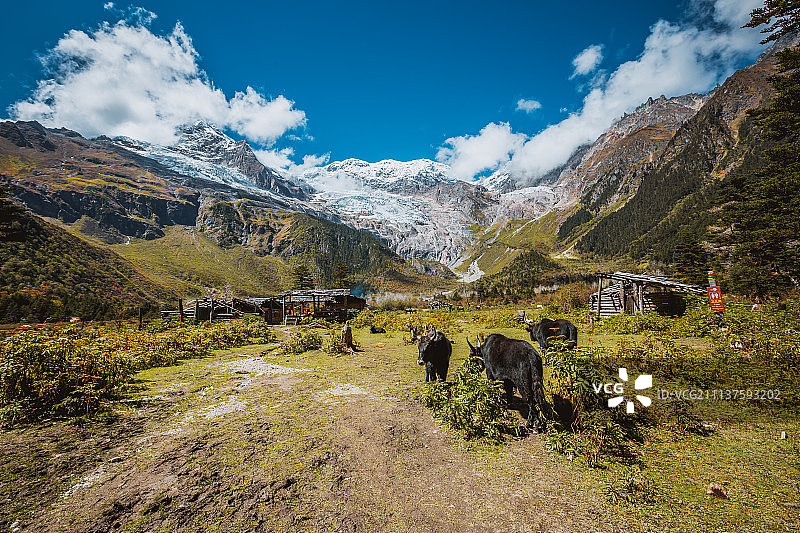 梅里雪山笑农大本营图片素材