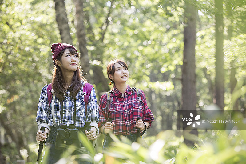 女性 女 女人图片素材