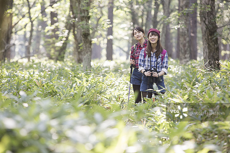 女性 女 女人图片素材