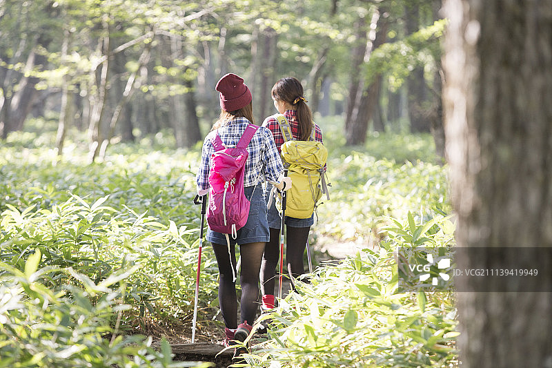 女性 女 女人图片素材