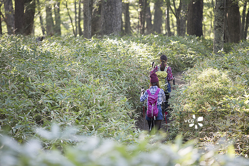 女性 女 女人图片素材