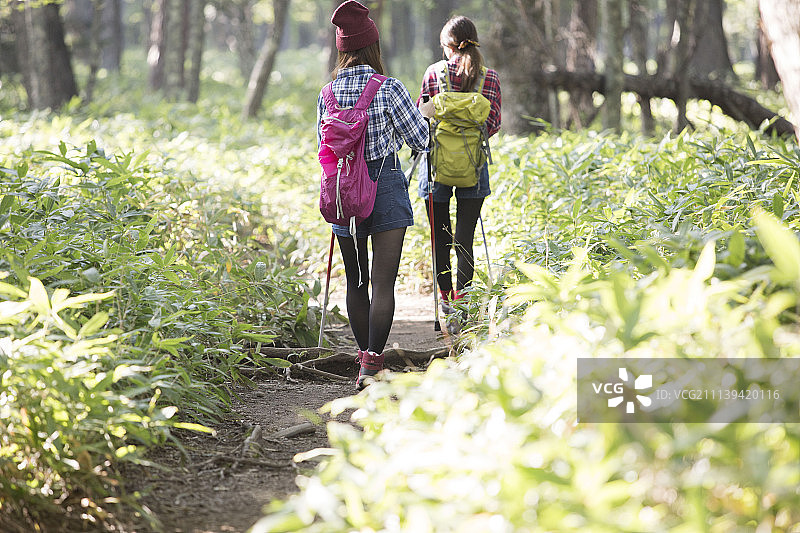 女性 女 女人图片素材