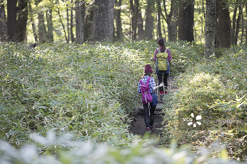 女性 女 女人图片素材