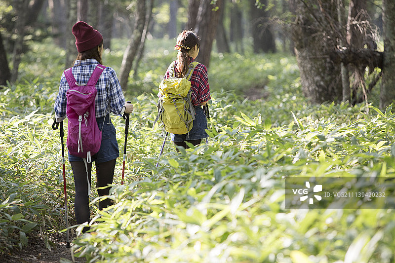 女性 女 女人图片素材
