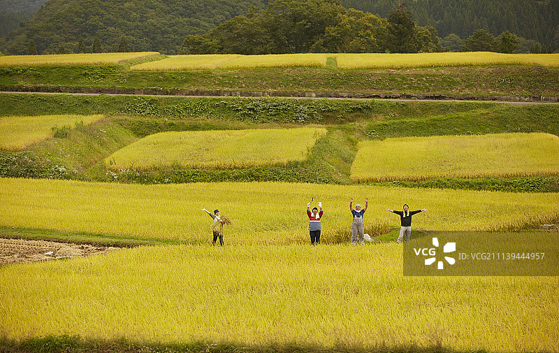 农业 农作 农事图片素材