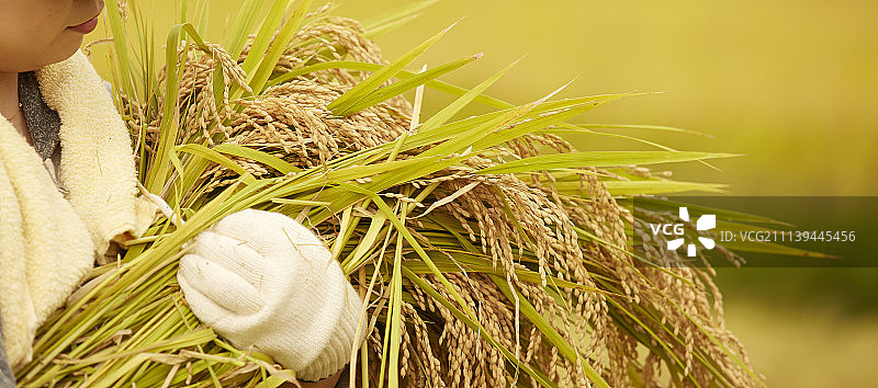 女性 女 女人图片素材