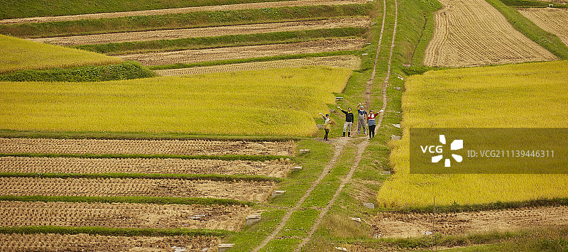 农业 农作 农事图片素材
