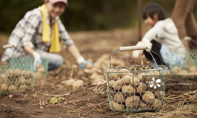 家庭 家族 家人图片素材