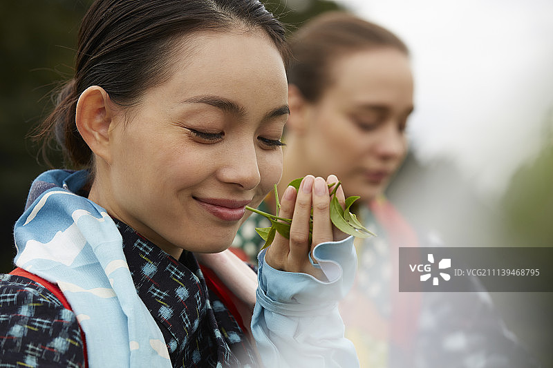 采茶人物图片素材