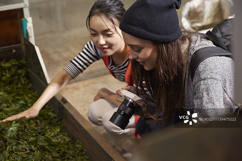 旅行人物图片素材