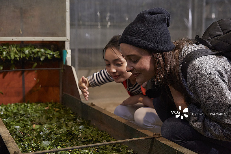 旅行人物图片素材