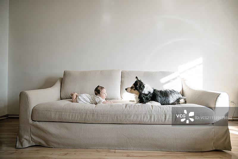 暖暖与古妹图片素材