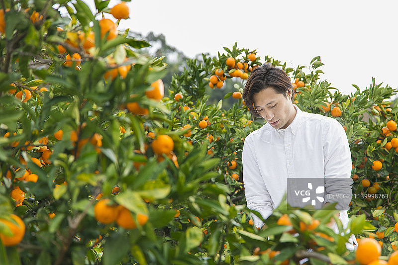男性 男 男人图片素材