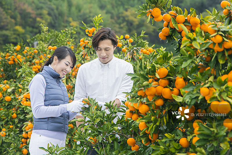 夫妇 一对 情侣图片素材