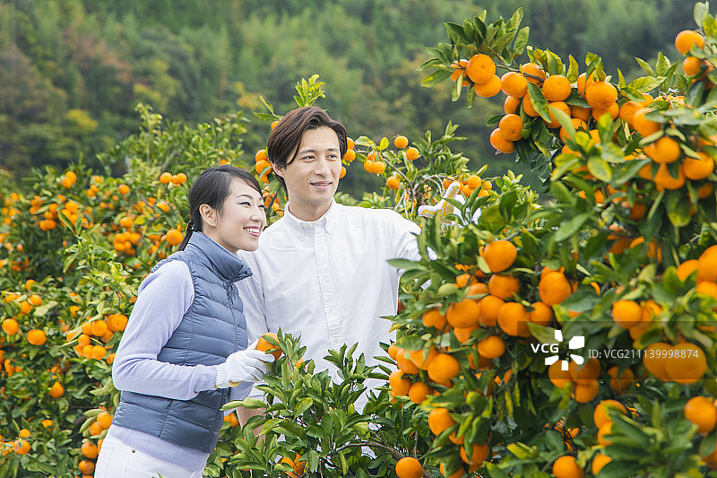 夫妇 一对 情侣图片素材