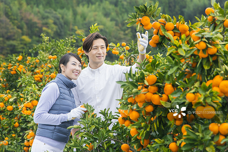 夫妇 一对 情侣图片素材