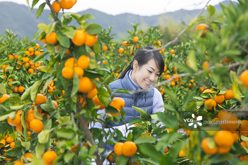 女性 女 女人图片素材