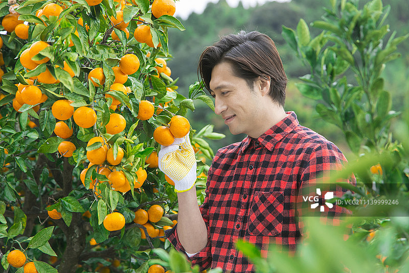 男性 男 男人图片素材