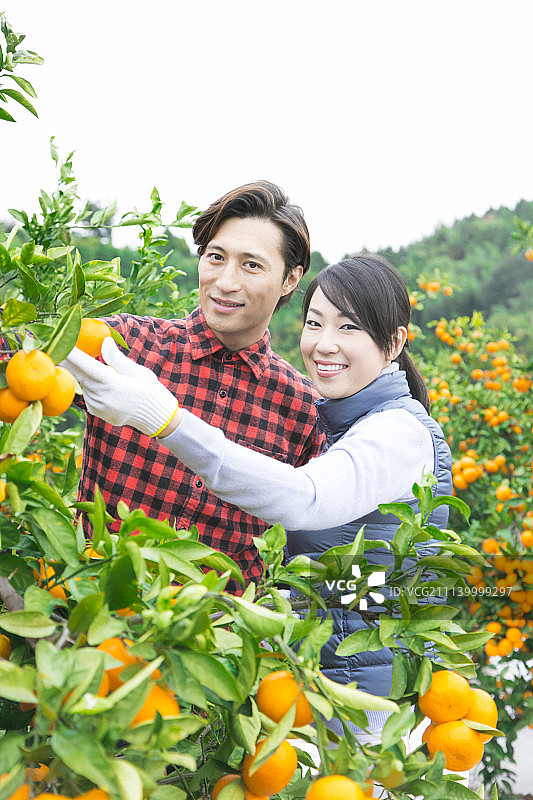 夫妇 一对 情侣图片素材