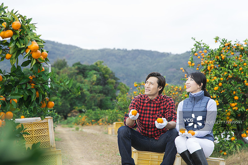 夫妇 一对 情侣图片素材