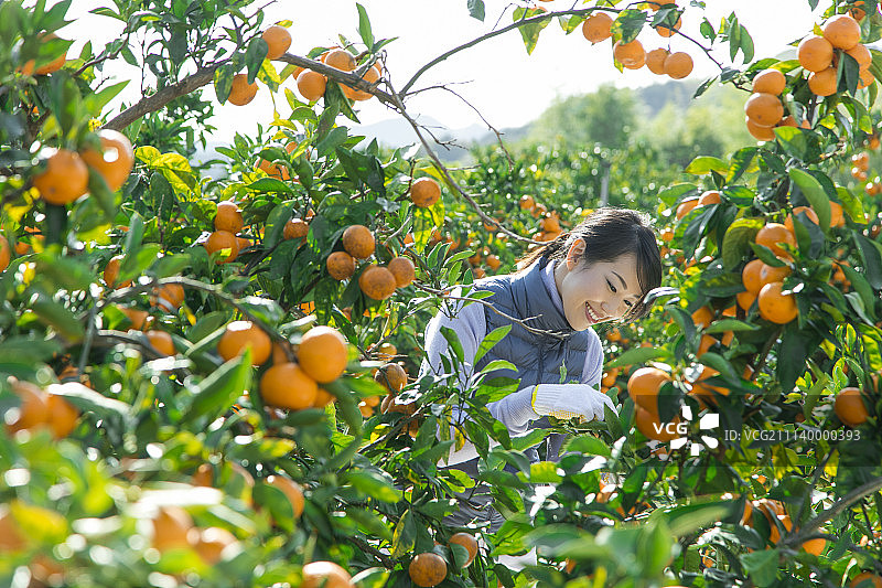女性 女 女人图片素材