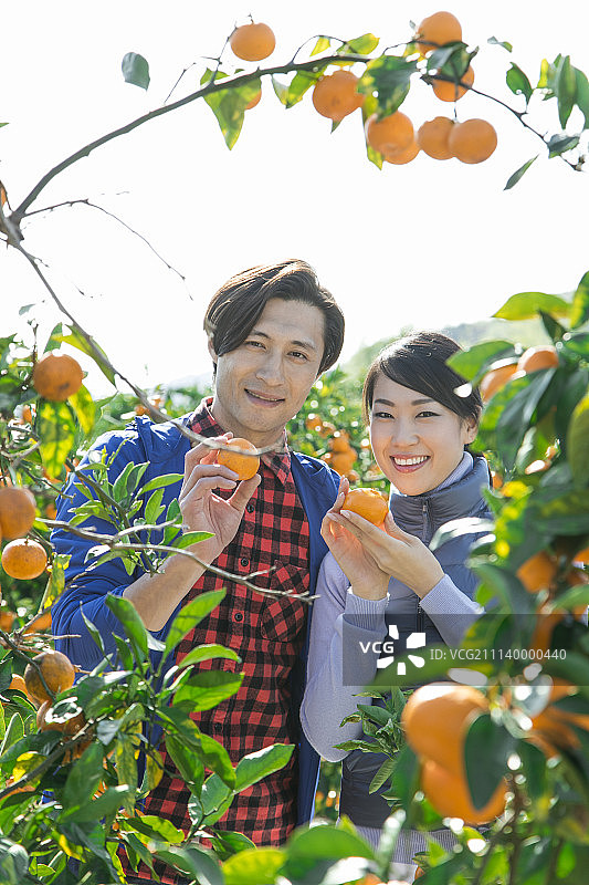 情侣肖像图片素材