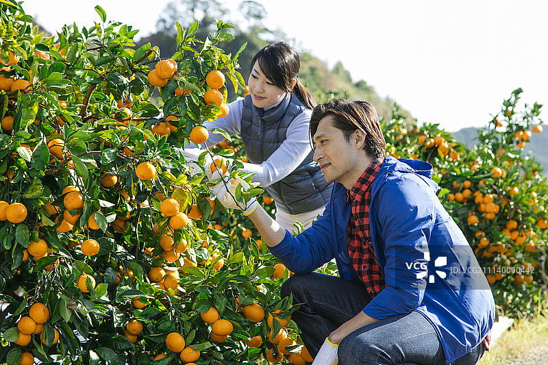 夫妇 一对 情侣图片素材