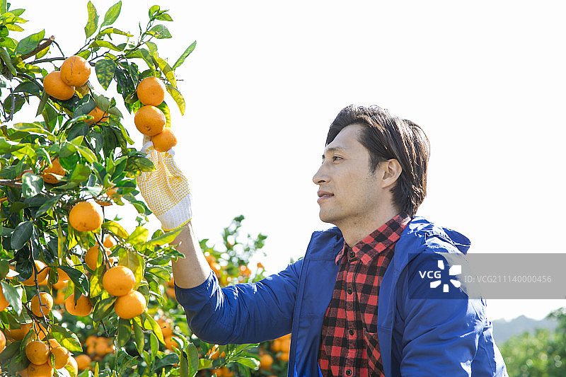 男性 男 男人图片素材