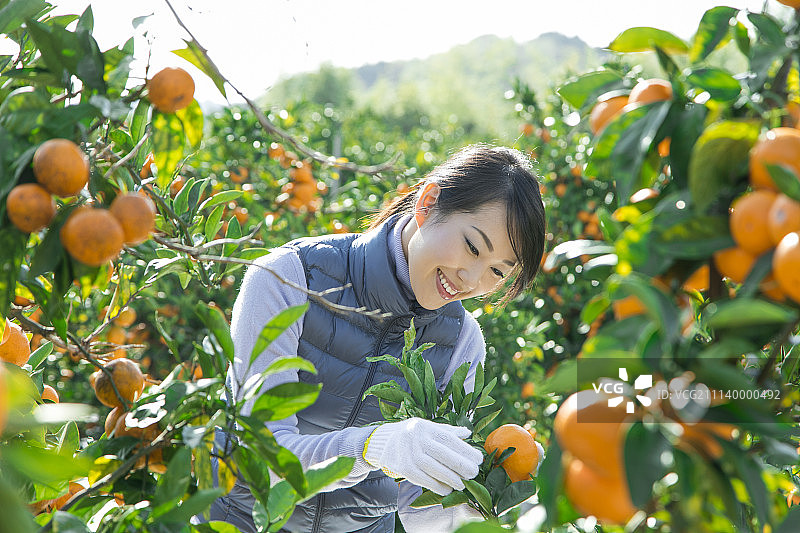 女性 女 女人图片素材