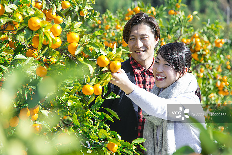 旅途 旅行 旅行者图片素材